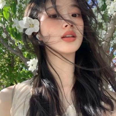 少林与咏春粤语